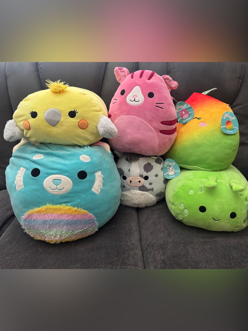 Squishmallows - Bundle
